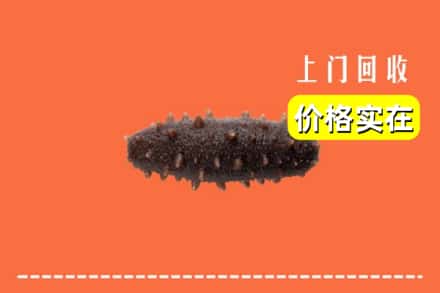 收购资讯:石嘴山平罗县回收海参
