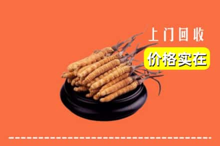 石嘴山平罗县回收冬虫夏草