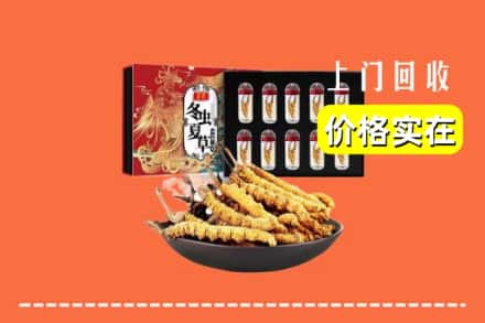 石嘴山平罗县回收虫草
